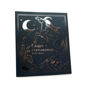 Carnet avec dorure argent brillant