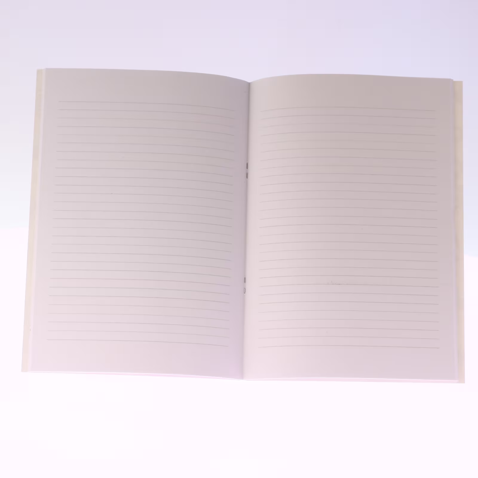 Intérieur brochure piqûre à cheval
