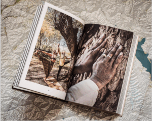 ZOOM SUR LES EDITIONS Dixedition