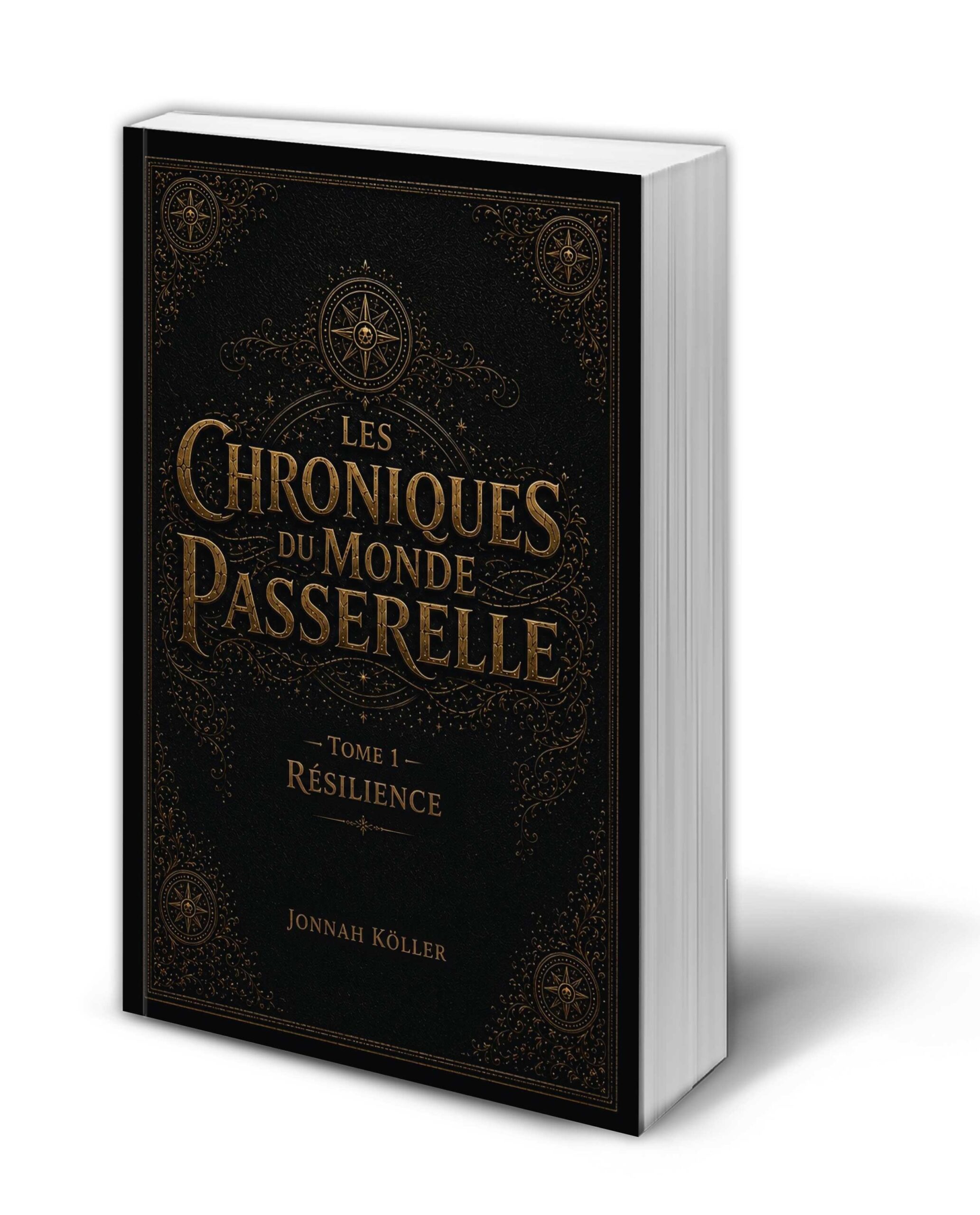 De l’imaginaire au papier, la genèse d’une saga